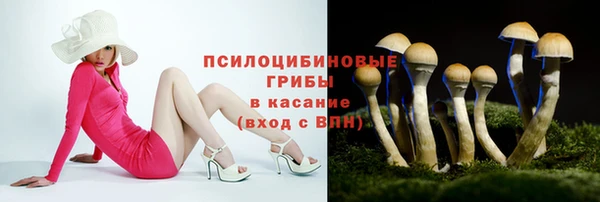 спайс Алексин