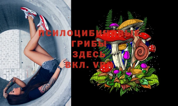 МДПВ Алзамай