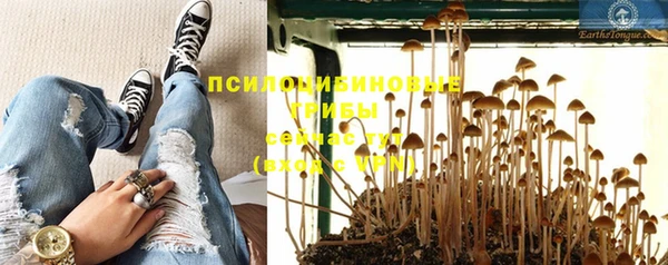 соль курить ск Алексеевка
