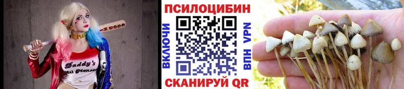 купить наркоту  Туймазы  МЕГА как зайти  Псилоцибиновые грибы Psilocybe 